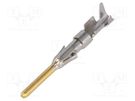 Contact; male; 1.6mm; gold-plated; 0.5÷1.5mm2; 20AWG÷16AWG; bulk AMPHENOL