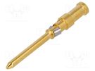Contact; male; copper alloy; nickel plated,gold-plated; 1mm2 HARTING