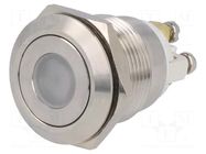 Switch: vandal resistant; Pos: 2; SPST-NO; 0.5A/220VAC; 2A/36VDC ONPOW