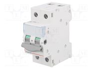 Switch-disconnector; Poles: 2; for DIN rail mounting; 100A; IP20 LEGRAND