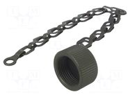 Protection cover; internal thread,threaded joint; olive; MS/DS AMPHENOL