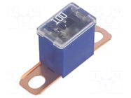 Fuse: fuse; 100A; automotive; JAPVAL; male; 36mm MTA