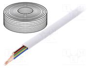 Wire: telecommunication cable; 6x28AWG; stranded; white; 100m BQ CABLE