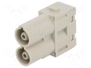 Connector: HDC; module; male; 70A; 1000V; Han-Modular®; PIN: 2 HARTING