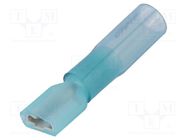 Terminal: flat; 6.35mm; 0.8mm; female; 1÷2.5mm2; crimped; insulated MOLEX