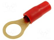 Terminal: ring; insulated; red; gold-plated; 10mm2; M10 ACV