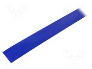 EL tape; L: 5000mm; extreme caribbean blue; 114cd/m2; λd: 487nm Light Tape®
