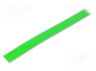 EL tape; L: 5000mm; extreme green; 262cd/m2; λd: 553nm; 5601K Light Tape®