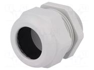 Gland; IP68; thermoplastic; M40; 22÷32mm; grey HARTING