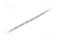 LED tape; white neutral; 3528; LED/m: 120; 10mm; white PCB; IP20 WISVA OPTOELECTRONICS