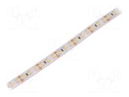 LED tape; white neutral; 3528; LED/m: 120; 10mm; white PCB; IP65 WISVA OPTOELECTRONICS