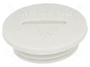 Stopper; M20; 1.5; IP54; polyamide; grey; V-N-FS; Thread: metric; 6mm HUMMEL