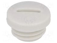 Stopper; M12; 1.5; IP54; polyamide; grey; V-N-FS; Thread: metric; 6mm HUMMEL