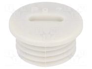Stopper; PG7; IP54; polyamide; grey; V-N-FS; Thread: PG; 6mm HUMMEL
