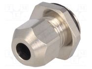 Cable gland; PG7; IP68; brass; HSK-MINI HUMMEL