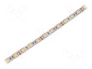 LED tape; white warm; 5050; LED/m: 60; 10mm; white PCB; IP20; 12VDC WISVA OPTOELECTRONICS