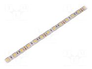 LED tape; white warm; 5050; LED/m: 60; 10mm; white PCB; IP65; 12VDC WISVA OPTOELECTRONICS