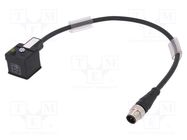 Adapter cable; DIN 43650 plug,M12 male; PIN: 3; IP67; 0.3m; 3A IFM ELECTRONIC
