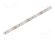 LED tape; white cold; 2835; LED/m: 60; 10mm; white PCB; IP65; 12W/m WISVA OPTOELECTRONICS