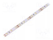 LED tape; white neutral; 2835; LED/m: 60; 10mm; white PCB; IP20 WISVA OPTOELECTRONICS