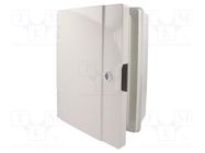 Enclosure: wall mounting; X: 221mm; Y: 311mm; Z: 137mm; ABS; grey PAWBOL