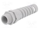 Cable gland; with strain relief; NPT3/4"; IP68; polyamide; grey HUMMEL