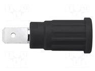 Connector: 4mm banana; socket; 24A; 1kV; black; on panel,push-in SCHÜTZINGER