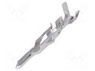 Contact; male; Mini-Fit Jr; brass; tinned; 24AWG÷18AWG; crimped MOLEX