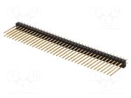 Connector: pin strips; pin header; male; PIN: 72; SL 22; THT; 2.54mm FISCHER ELEKTRONIK