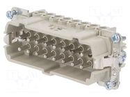 Connector: HDC; male; PIN: 16; size 16; for panel mounting; 500V WIELAND