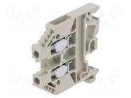 Splice terminal: rail; 32A; 800V; screw terminal; grey; 4mm2; W: 6mm WIELAND