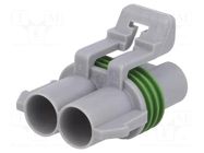 Connector: automotive; plug; female; Ducon 6.3; PIN: 2; for cable APTIV