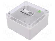 Enclosure: multipurpose; X: 105mm; Y: 105mm; Z: 66mm; INDUSTRIAL ELEKTRO-PLAST NASIELSK