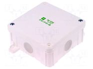 Enclosure: junction box; X: 98mm; Y: 98mm; Z: 46mm; wall mount; IP55 ELEKTRO-PLAST NASIELSK