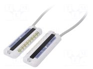 Area sensor; 30÷300mm; IP62; 12÷24VDC; cables; -10÷55°C; <10ms; ABS PANASONIC