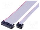 Ribbon cable with IDC connectors; Cable ph: 1.27mm; 0.3m AMPHENOL