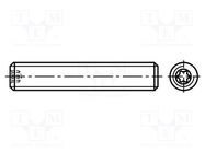 Screw; M4x10; 0.7; Head: without head; Torx®; TX08; steel; zinc BOSSARD