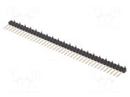 Connector: pin strips; pin header; male; PIN: 40; vertical; 1A; SMT NINIGI
