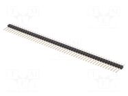 Connector: pin strips; pin header; male; PIN: 50; straight; THT MPE GARRY