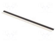 Connector: pin strips; pin header; male; PIN: 50; straight; THT MPE GARRY