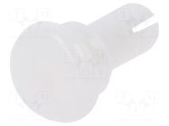 Rivet; polyamide; L.rivet: 8mm; white; dismountable,push-in DREMEC