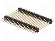 Connector: pin strips; pin header; male; PIN: 40; straight; 3A; THT NINIGI