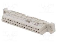 Connector: DIN 41612; socket; female; PIN: 32; straight; 2A; THT; a+b HARTING