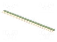 Connector: pin strips; pin header; male; PIN: 50; AMPMODU MOD II TE Connectivity