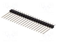 Connector: pin strips; pin header; male; PIN: 20; THT; straight CONNFLY