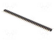 Connector: pin strips; pin header; male; PIN: 32; straight; THT CONNFLY