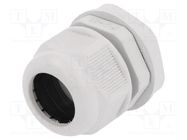 Cable gland; PG21; IP65; polyamide; grey RAYCHEM RPG