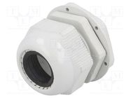 Cable gland; M50; 1.5; IP65; polyamide; grey RAYCHEM RPG