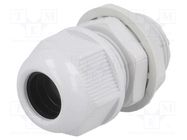 Cable gland; with long thread; M20; 1.5; IP65; polyamide; grey RAYCHEM RPG