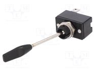 Switch: toggle; Pos: 2; SPST; OFF-(ON); 10A/12VDC; R13-96; 50mΩ 